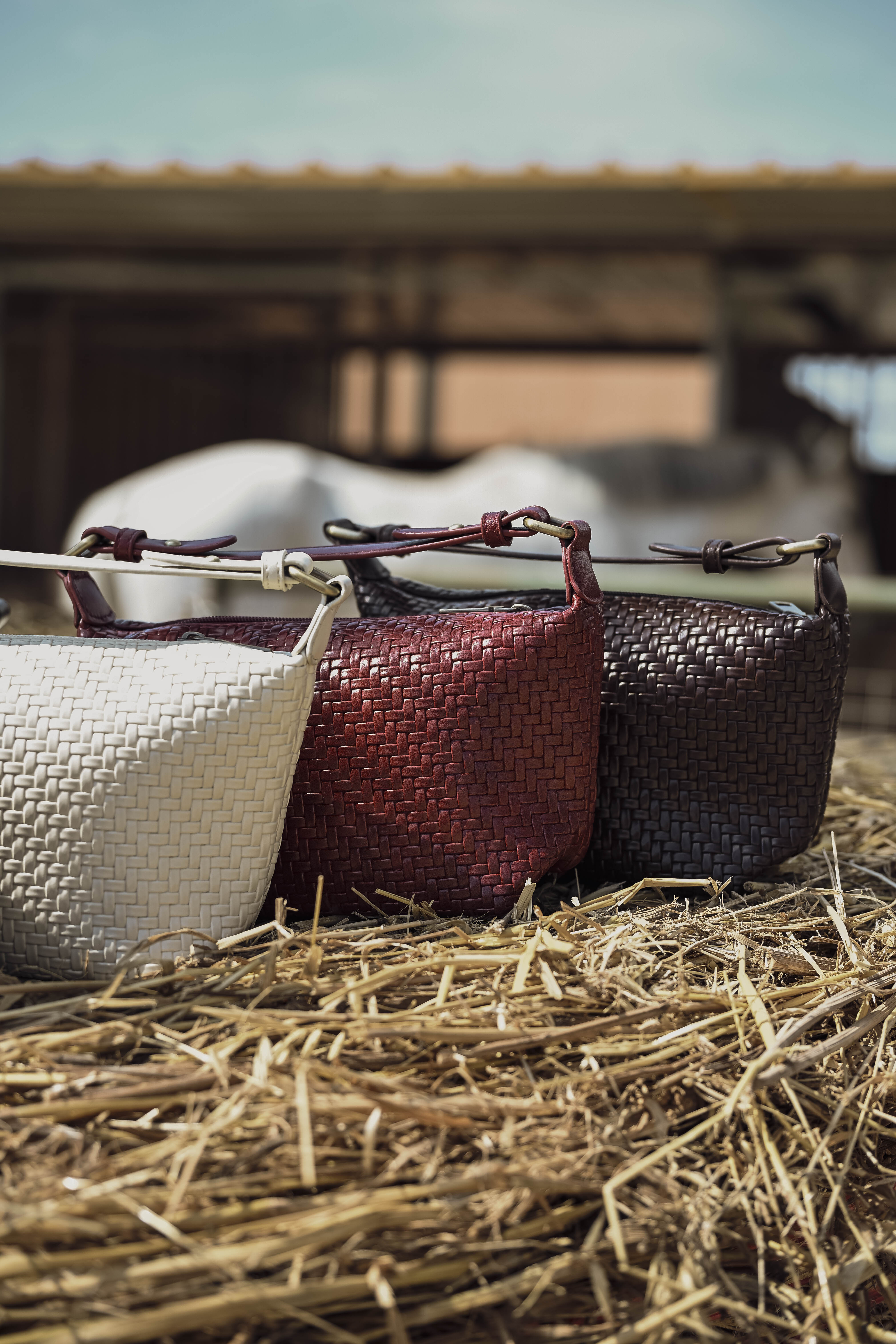 Borsa Daisy